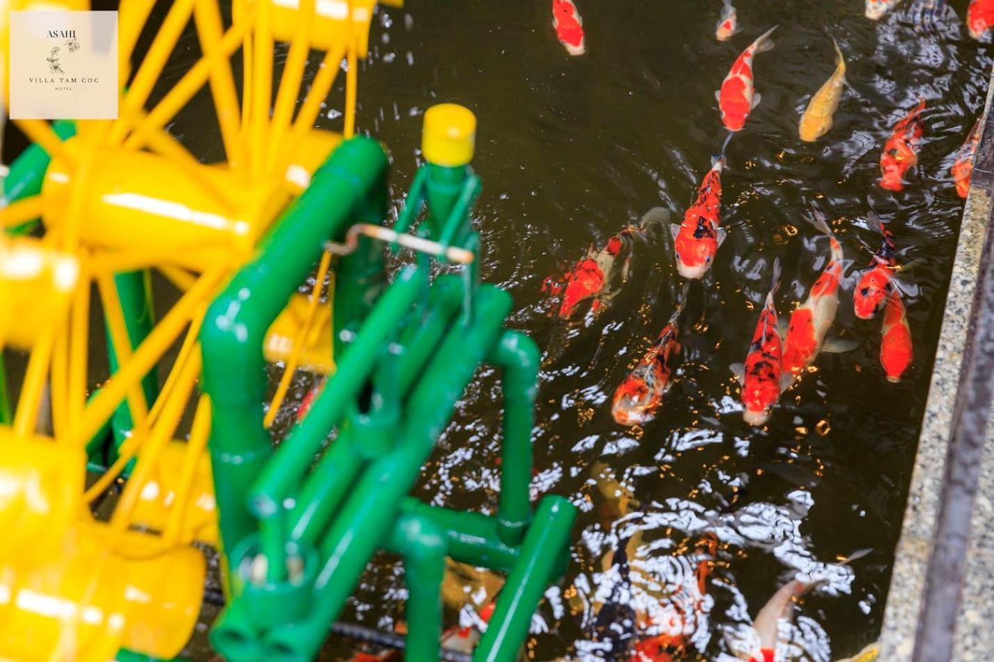 Asahi Villa Tam Coc Ninh Binh Eksteriør billede